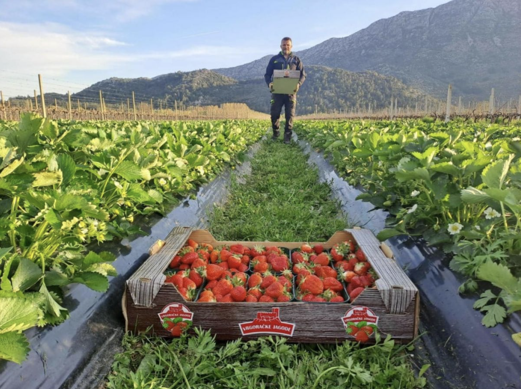 Zašto nemamo sve – i zašto nam je to okej